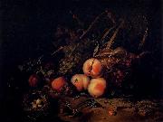 Rachel Ruysch Still-Life with Fruit and Insects oil on canvas